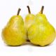 Pears